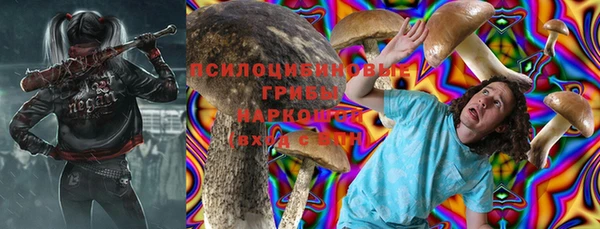 МДПВ Лиски