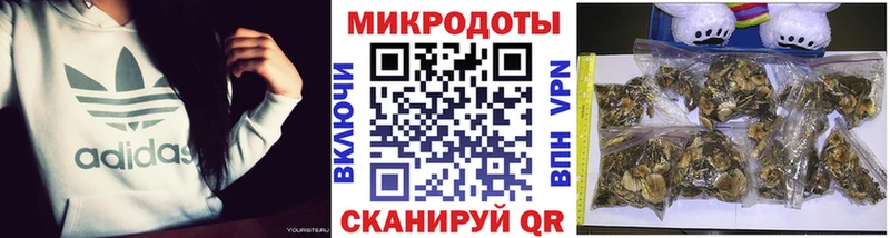Купить закладки  Краснокамск  Псилоцибиновые грибы GOLDEN TEACHER 